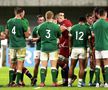 CUPA MONDIALĂ // FOTO Irlanda a trimis Rusia acasă + Fiji, victorie clară în fața Georgiei
