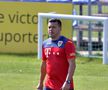 ROMÂNIA - MALTA // VIDEO Cosmin Contra, îngândurat la antrenamentul de astăzi al naționalei + Burleanu prezent la Mogoșoaia