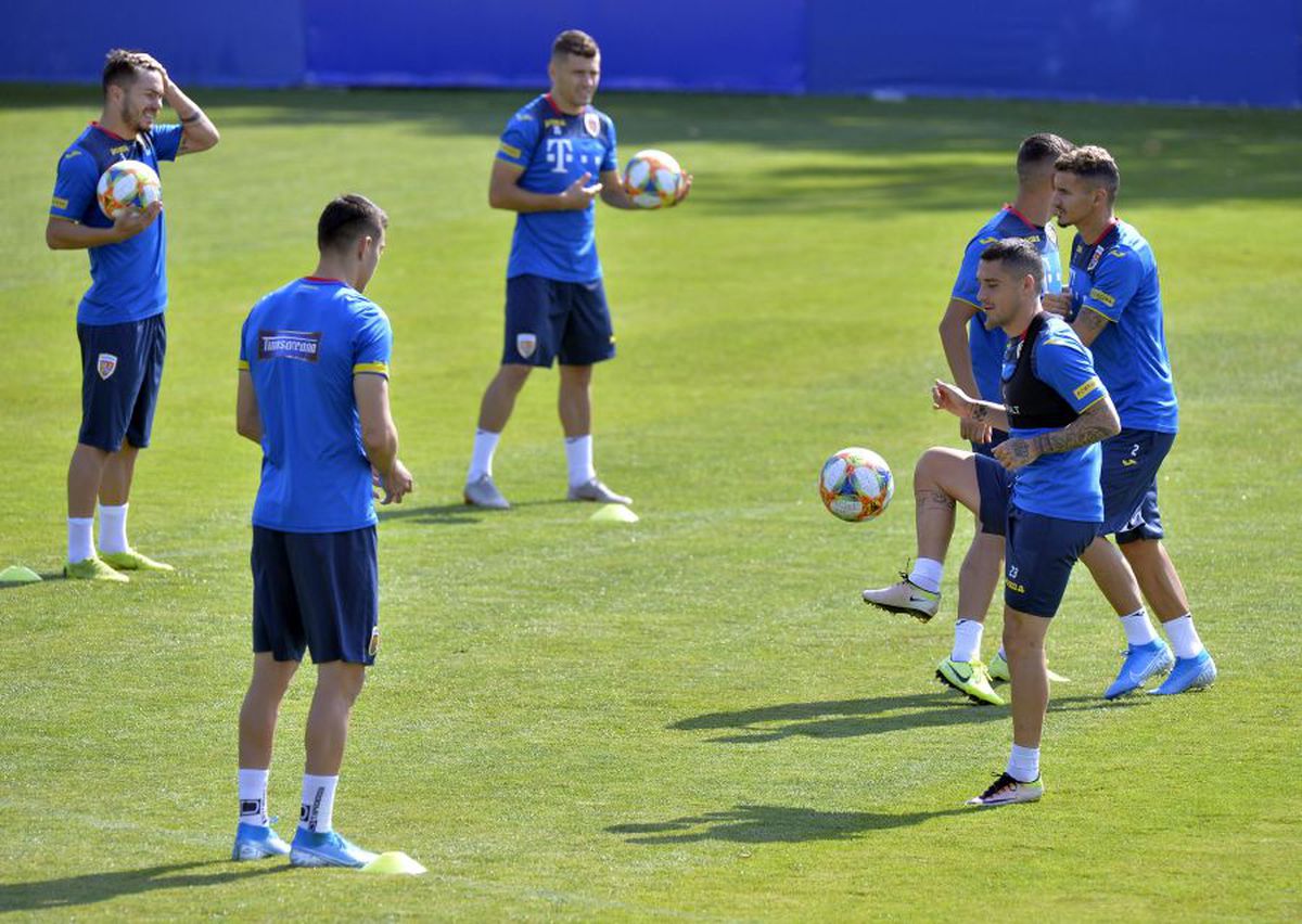 ROMÂNIA - MALTA // VIDEO Cosmin Contra, îngândurat la antrenamentul de astăzi al naționalei + Burleanu prezent la Mogoșoaia