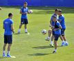 ROMÂNIA - MALTA // VIDEO Cosmin Contra, îngândurat la antrenamentul de astăzi al naționalei + Burleanu prezent la Mogoșoaia