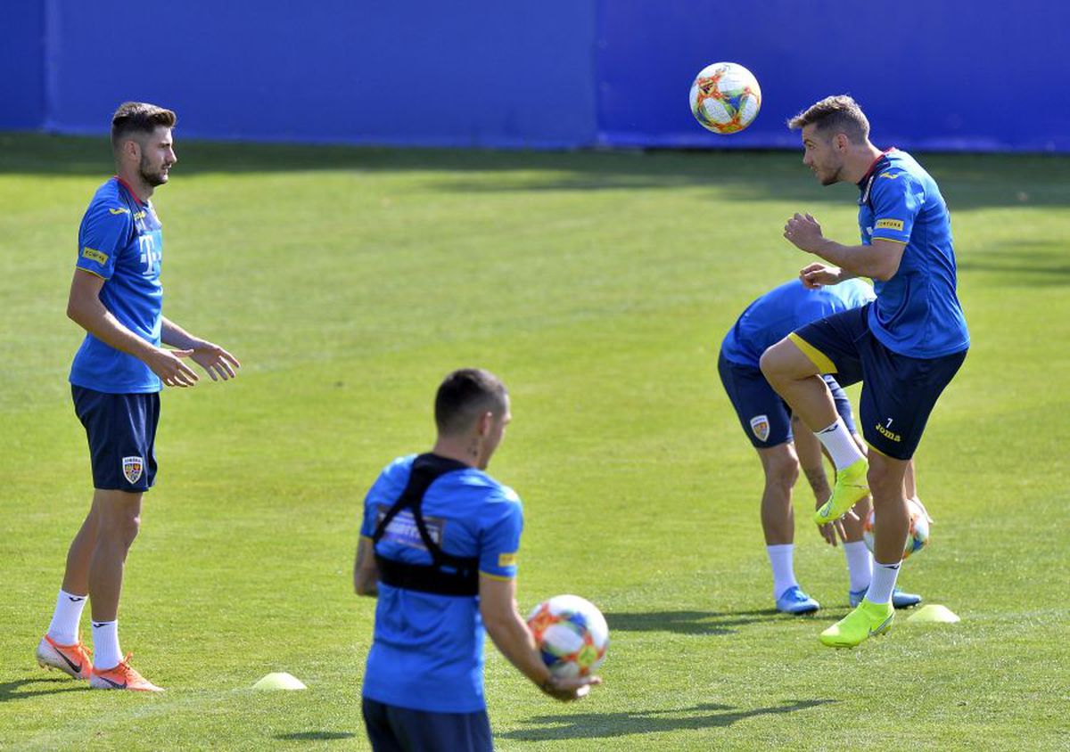 ROMÂNIA - MALTA // VIDEO Cosmin Contra, îngândurat la antrenamentul de astăzi al naționalei + Burleanu prezent la Mogoșoaia