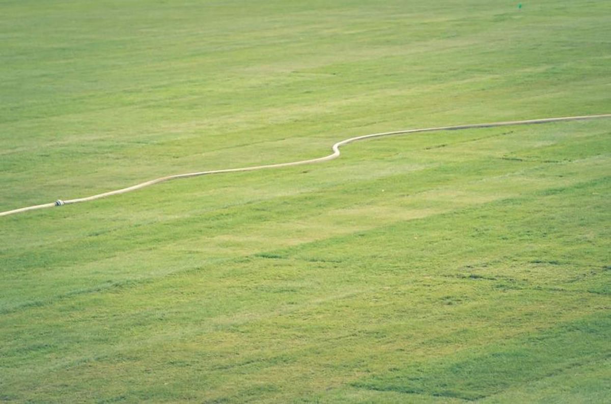 POLI IAȘI // GALERIE FOTO Gazonul de pe „Emil Alexandrescu”, stadionul lui Poli Iași, va fi montat până duminică » Când se vor întoarce moldovenii acasă