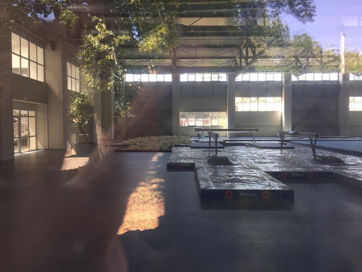 VIDEO Dezastru total la sala Dinamo: șoareci, ploaie, igrasie, jeg!