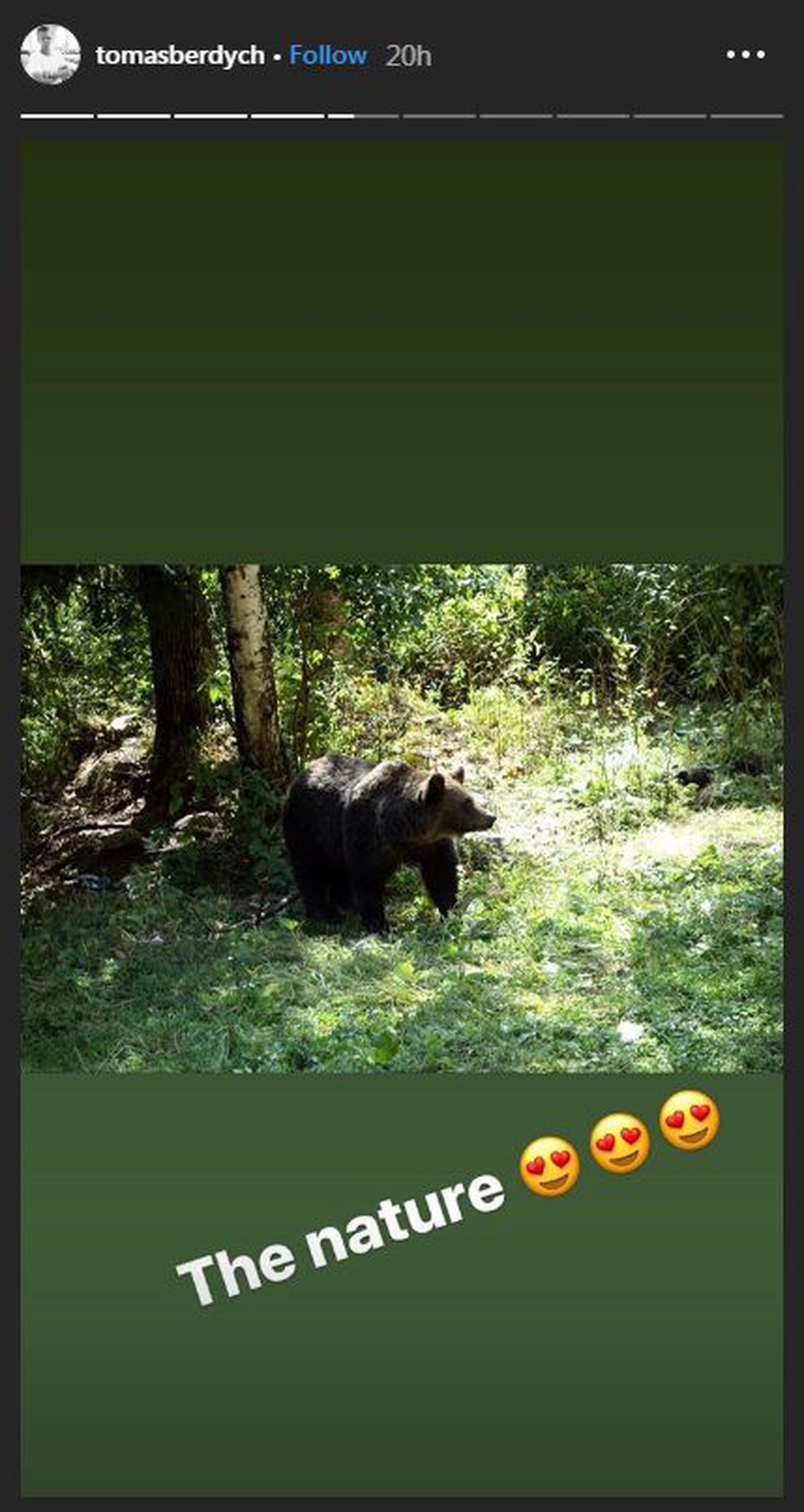 GALERIE FOTO A fost în Top 5, iar acum face reclamă României! Tomas Berdych s-a întâlnit cu ursul pe Transfăgărășan