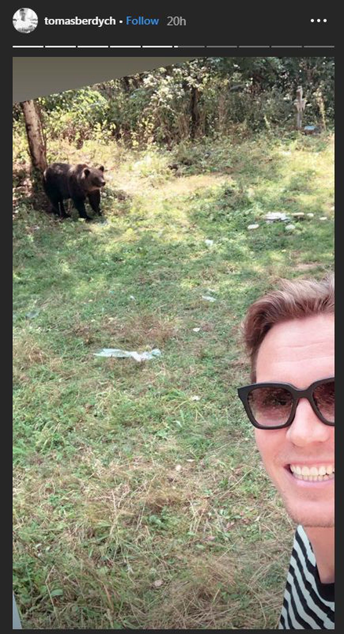GALERIE FOTO A fost în Top 5, iar acum face reclamă României! Tomas Berdych s-a întâlnit cu ursul pe Transfăgărășan