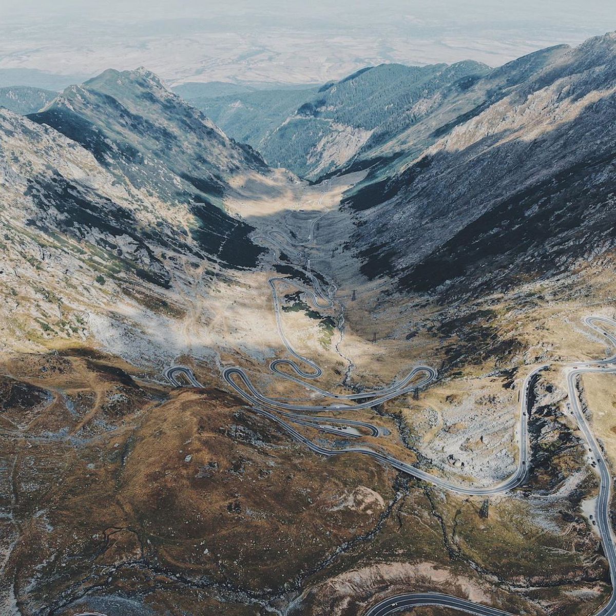 GALERIE FOTO A fost în Top 5, iar acum face reclamă României! Tomas Berdych s-a întâlnit cu ursul pe Transfăgărășan