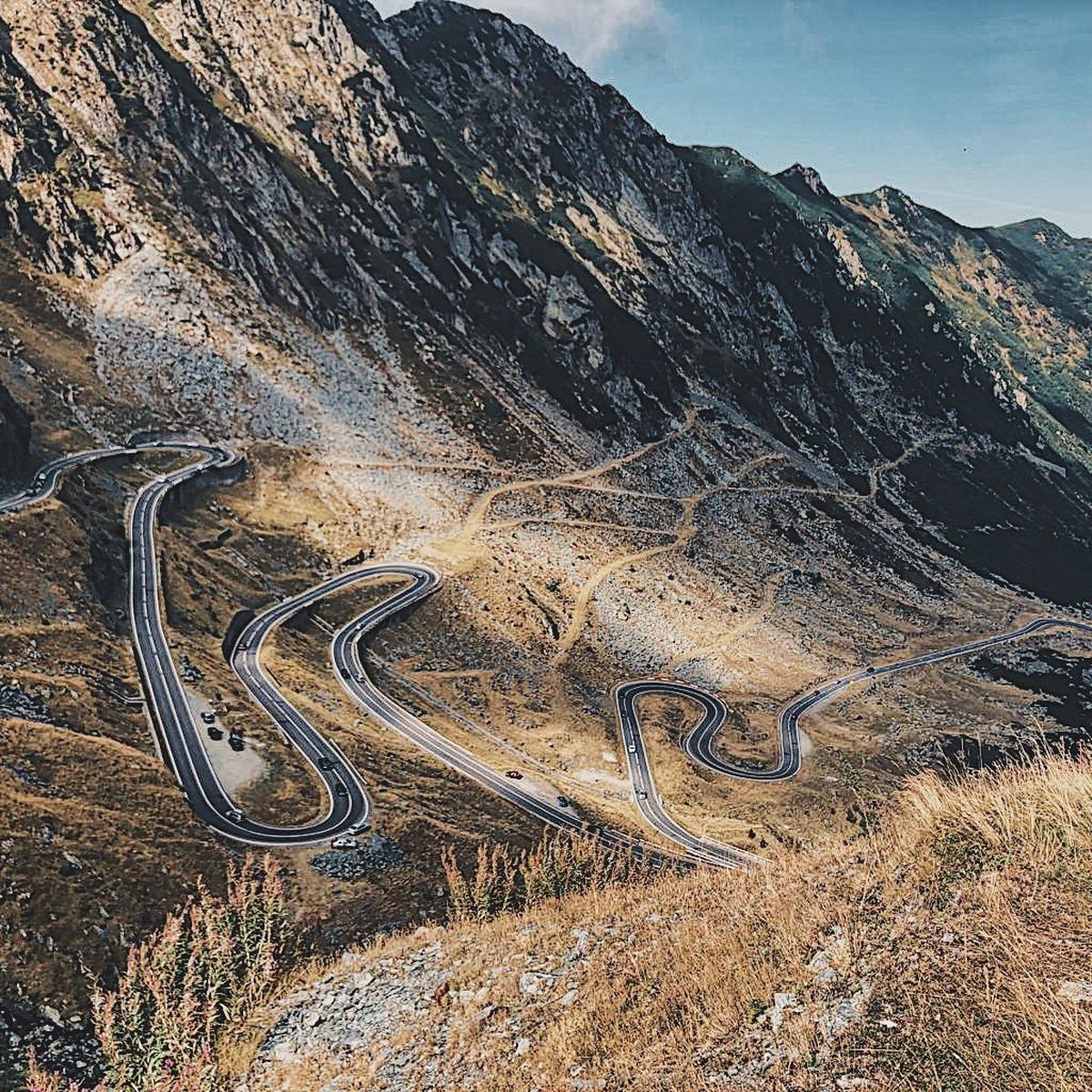 GALERIE FOTO A fost în Top 5, iar acum face reclamă României! Tomas Berdych s-a întâlnit cu ursul pe Transfăgărășan