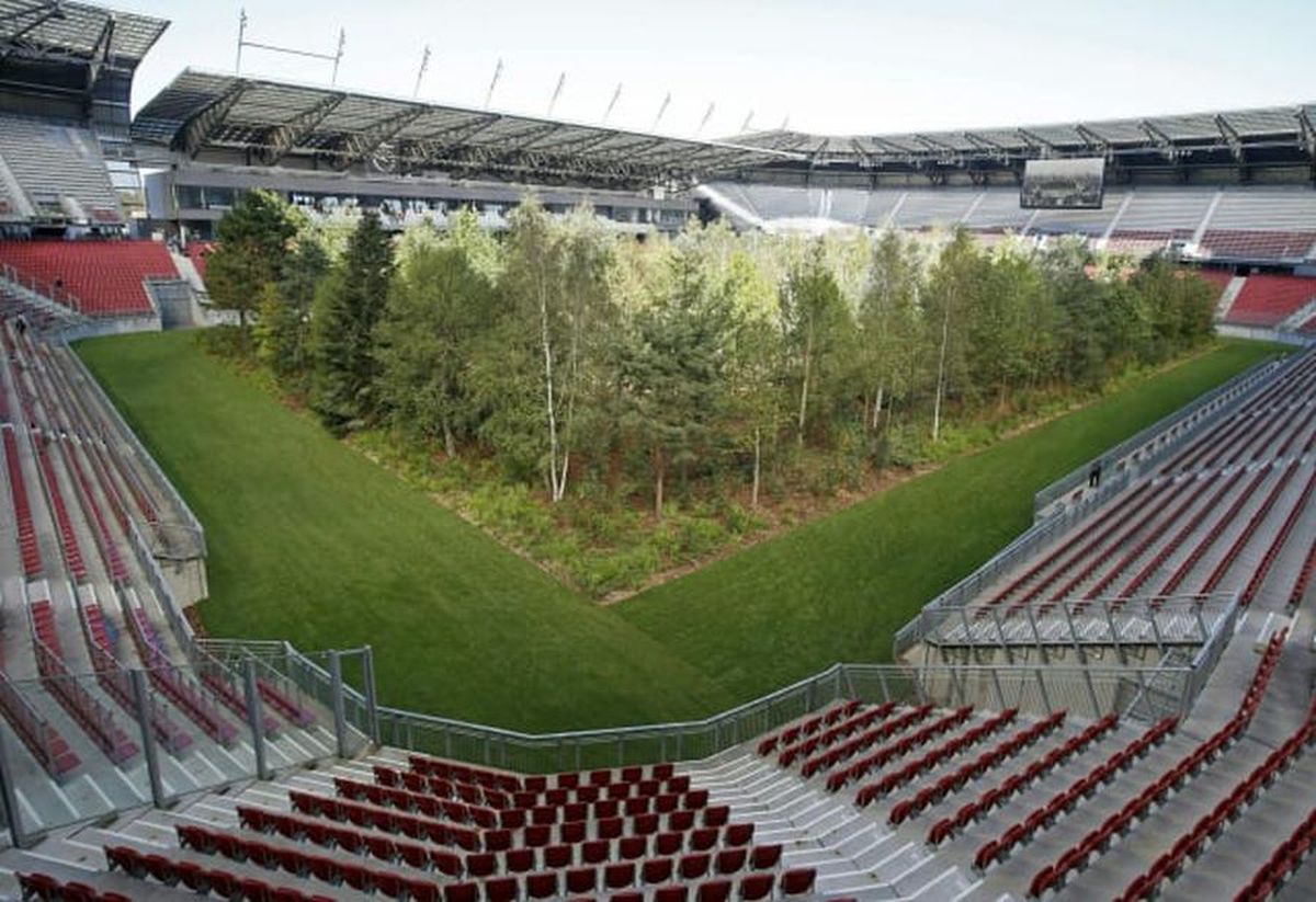 FOTO Imagini incredibile cu un stadion de la Euro 2008! O pădure a ocupat terenul de joc