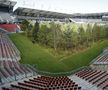 FOTO Imagini incredibile cu un stadion de la Euro 2008! O pădure a ocupat terenul de joc