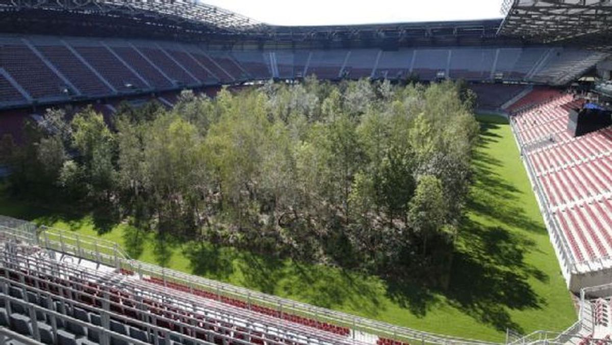FOTO Imagini incredibile cu un stadion de la Euro 2008! O pădure a ocupat terenul de joc