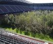 FOTO Imagini incredibile cu un stadion de la Euro 2008! O pădure a ocupat terenul de joc