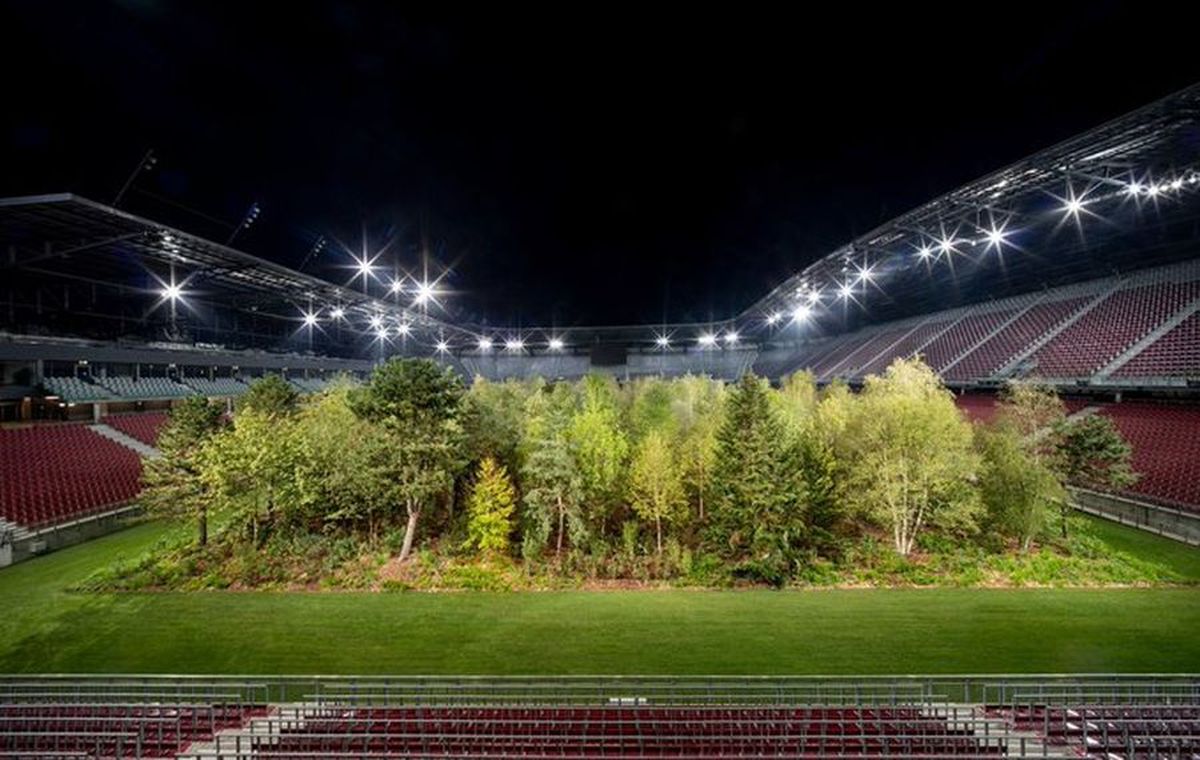 FOTO Imagini incredibile cu un stadion de la Euro 2008! O pădure a ocupat terenul de joc