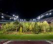 FOTO Imagini incredibile cu un stadion de la Euro 2008! O pădure a ocupat terenul de joc