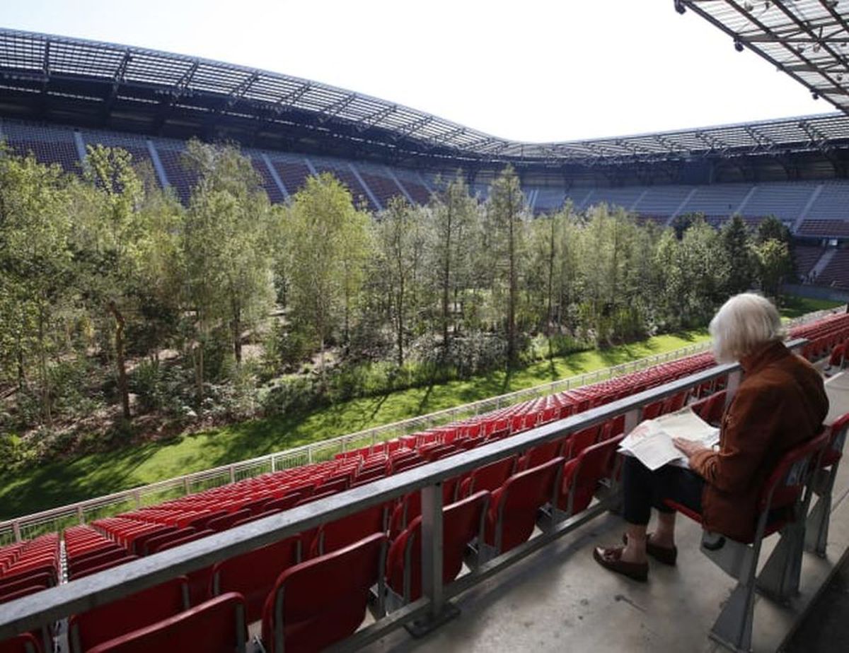 FOTO Imagini incredibile cu un stadion de la Euro 2008! O pădure a ocupat terenul de joc