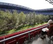FOTO Imagini incredibile cu un stadion de la Euro 2008! O pădure a ocupat terenul de joc