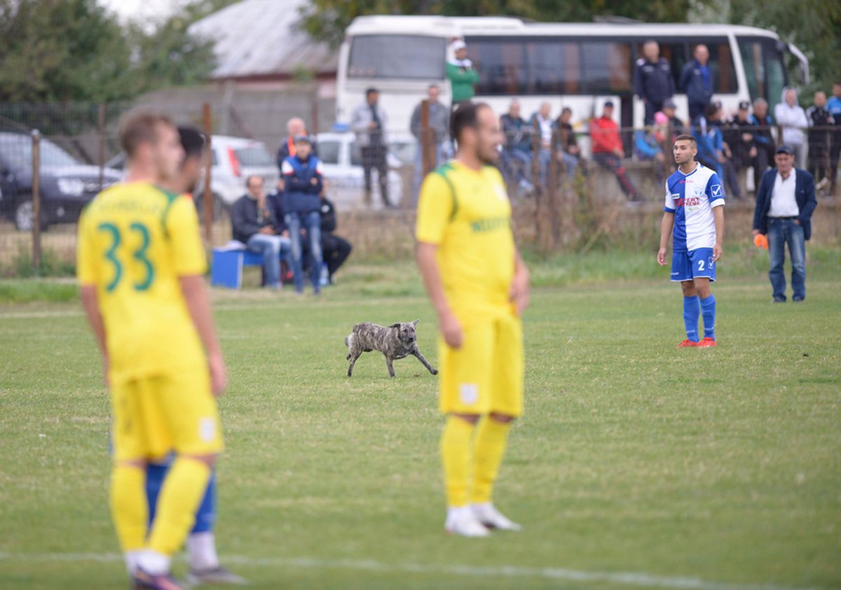 CS FĂUREI - CS MIOVENI 1-5 // FOTO&VIDEO Reportaj din Făurei: Cupa, viața satului!