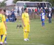 CS FĂUREI - CS MIOVENI 1-5 // FOTO&VIDEO Reportaj din Făurei: Cupa, viața satului!