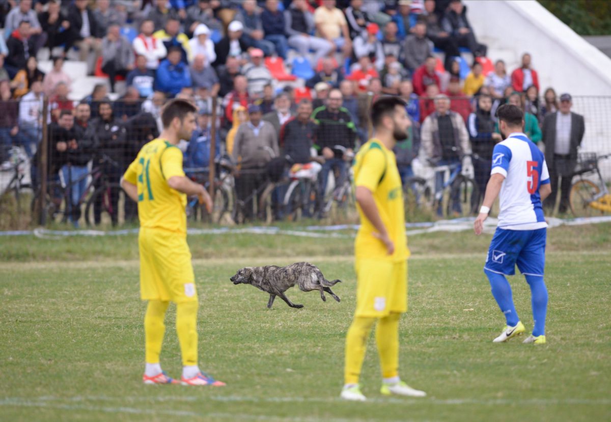 CS FĂUREI - CS MIOVENI 1-5 // FOTO&VIDEO Reportaj din Făurei: Cupa, viața satului!