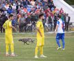 CS FĂUREI - CS MIOVENI 1-5 // FOTO&VIDEO Reportaj din Făurei: Cupa, viața satului!