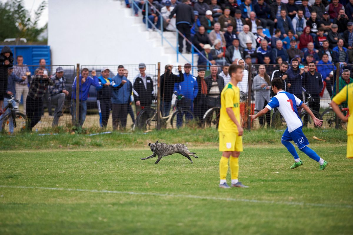 REPORTAJ EXCLUSIV FOTO & VIDEO // Făurei e un oraș animat când joacă echipa lui Bănel, pe care fostul internațional o întreține din banii proprii: Fericire de un miliard și jumătate
