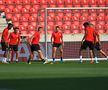 SLAVIA PRAGA - CFR CLUJ // Nicolae Stanciu și colegii săi au făcut antrenamentul oficial înaintea duelului cu CFR Cluj: „Suporterii ne împing de la spate”