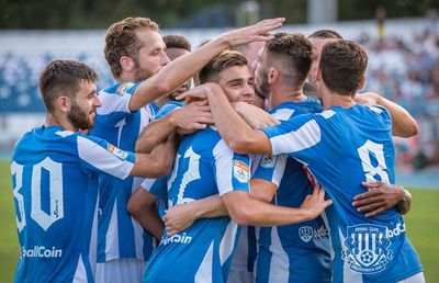 Poli Iași // Entuziasm în Copou, după venirea lui Mircea Rednic » Poezie pe Facebook: „Aho, aho, suporteri dragi! / Stați puțin și ascultați!”