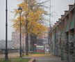 Imagini din Parma FOTO: Ionuţ Iordache (GSP)