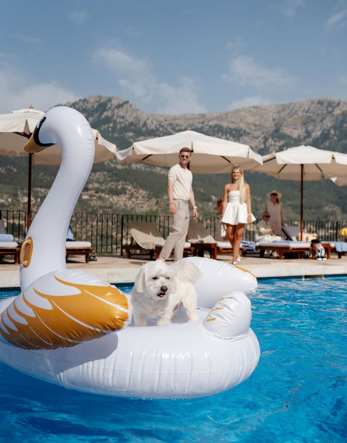 CR7 > Soție » Postarea de An Nou a internaționalului german i-a amuzat teribil pe fani