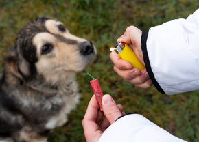 Taxează dur artificiile de Revelion: „Mi se pare suficient pentru ca alte civilizații să nu ne contacteze!”