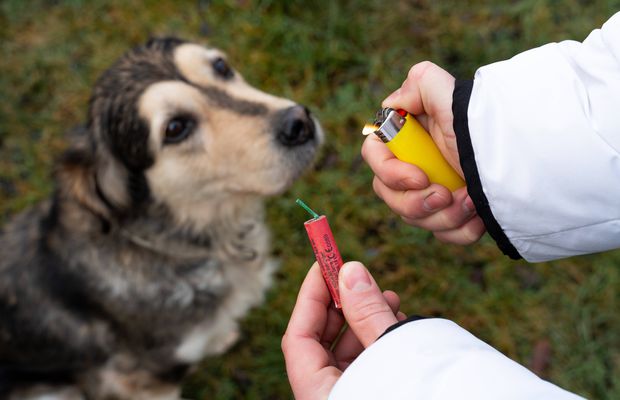 Taxează dur artificiile de Revelion: „Mi se pare suficient pentru ca alte civilizații să nu ne contacteze!”