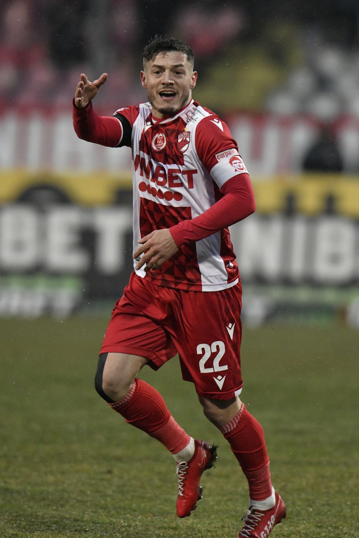 Dinamo - Sepsi / 1 martie 2022