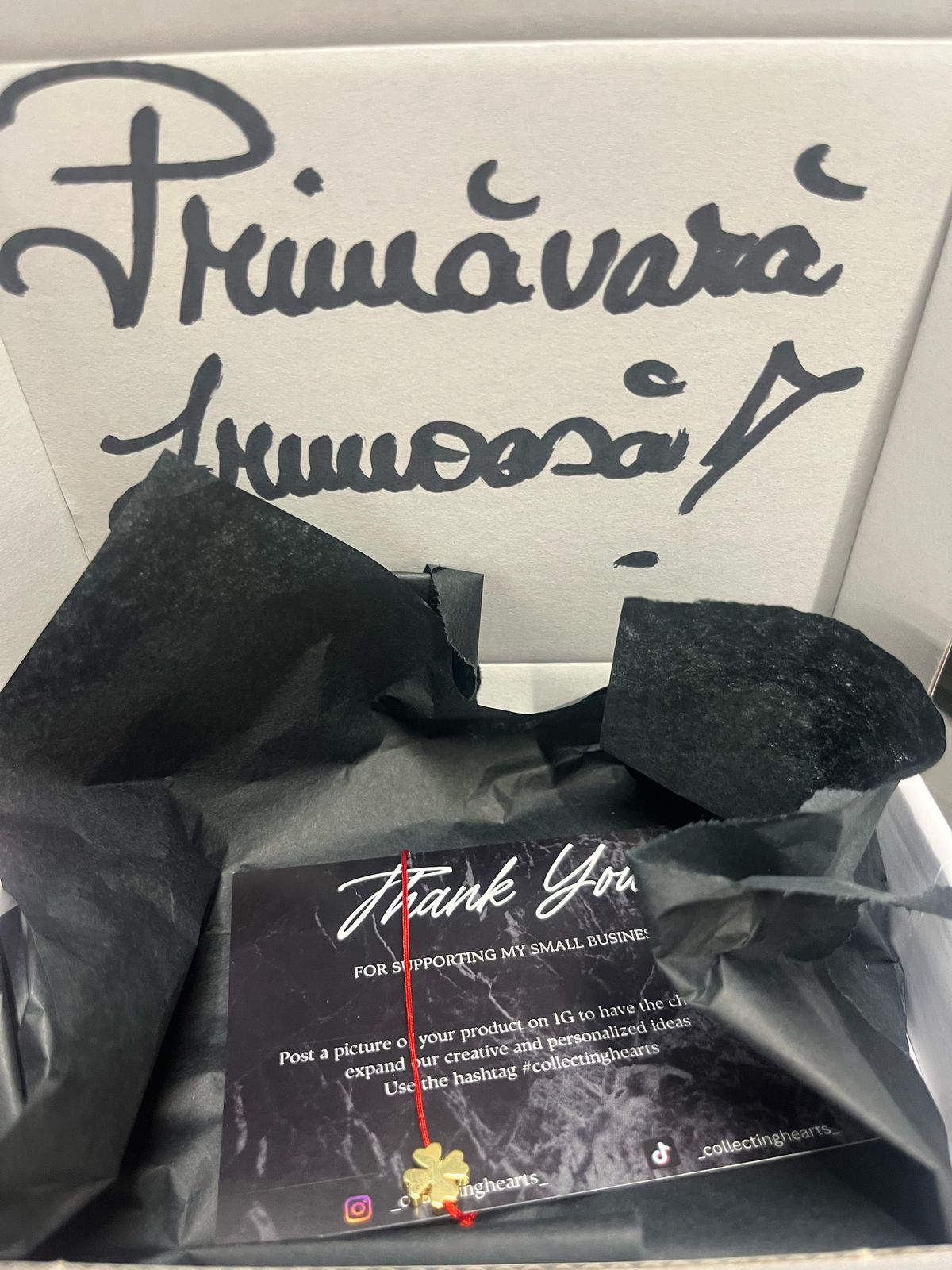 Șumudică cere retragerea unui analist de la o emisiune sportivă + Se teme înainte de Rapid - FCSB: „Am auzit asta despre Radu Petrescu”