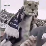 Emil Săndoi și o scenă memorabilă / Sursă foto: Pro TV