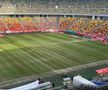 Gazonul de pe Arena Națională, înainte de Dinamo - FC Argeș