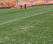 Gazonul de pe Arena Națională, înainte de Dinamo - FC Argeș
