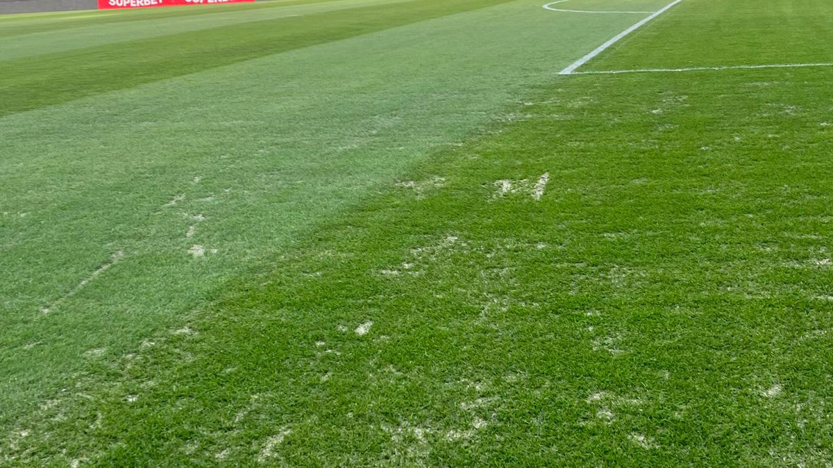 Gazonul de pe Arena Națională, înainte de Dinamo - FC Argeș