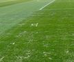 Gazonul de pe Arena Națională, înainte de Dinamo - FC Argeș