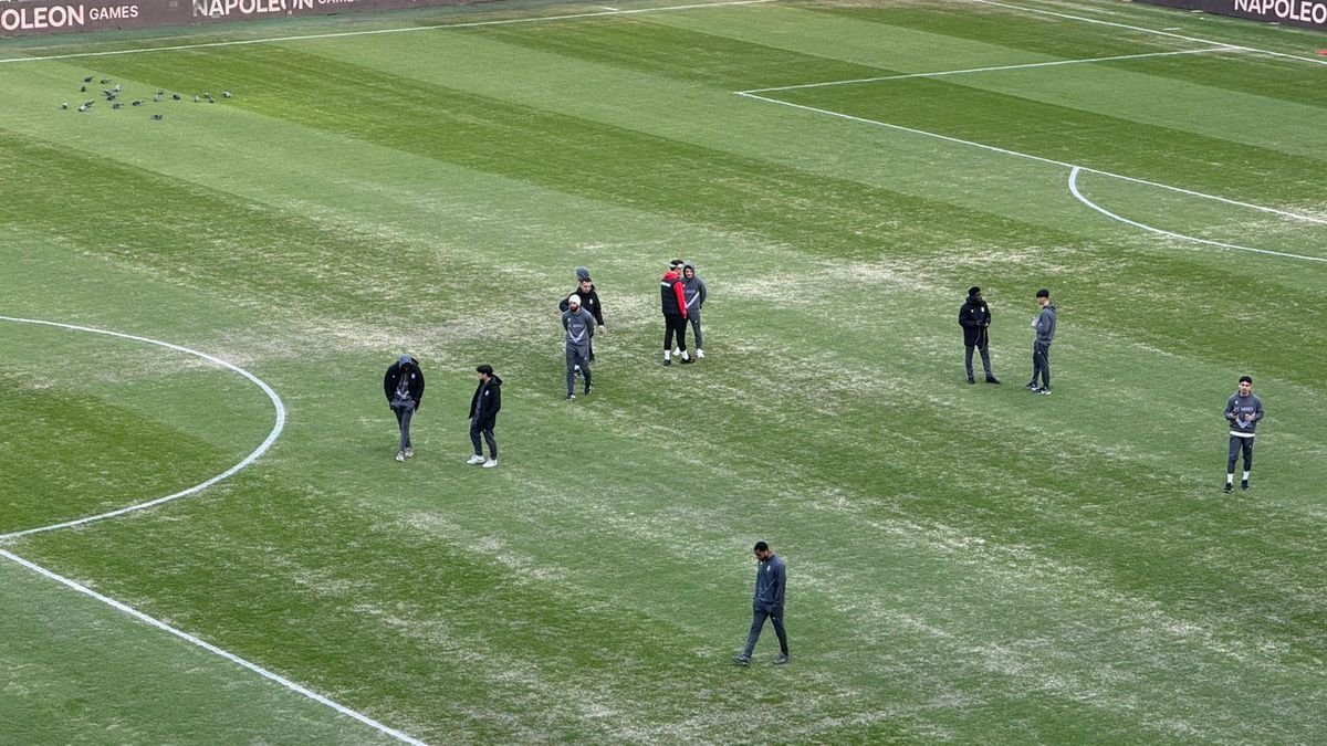 Gazonul de pe Arena Națională, înainte de Dinamo - FC Argeș