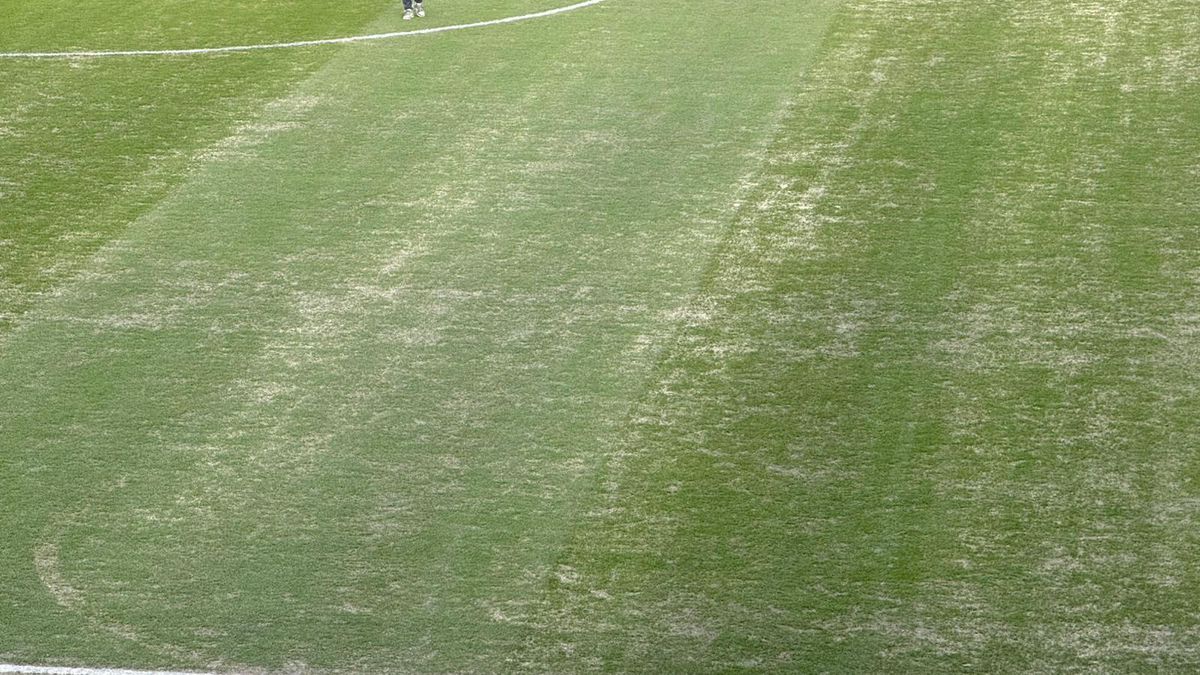 Gazonul de pe Arena Națională, înainte de Dinamo - FC Argeș