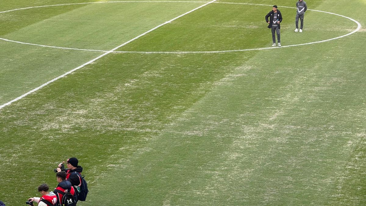 Gazonul de pe Arena Națională, înainte de Dinamo - FC Argeș