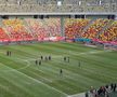 Gazonul de pe Arena Națională, înainte de Dinamo - FC Argeș