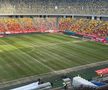Gazonul de pe Arena Națională, înainte de Dinamo - FC Argeș