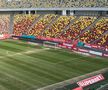 Gazonul de pe Arena Națională, înainte de Dinamo - FC Argeș