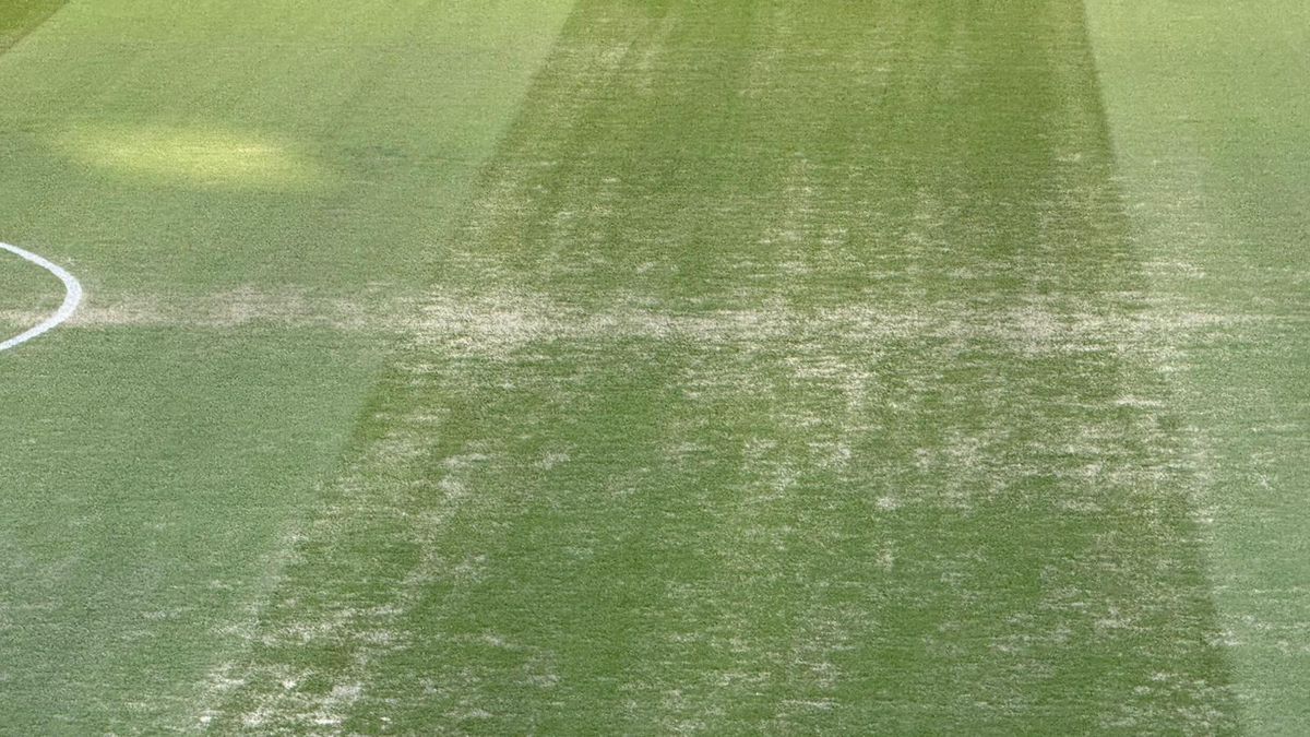 Gazonul de pe Arena Națională, înainte de Dinamo - FC Argeș