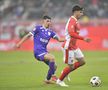 Dinamo - FC Argeș// foto: Cristi Preda (GSP)