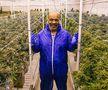 Mike Tyson își extinde afacerea cu marijuana » Și-a deschis prima cafenea în Europa: „E un vis devenit realitate”