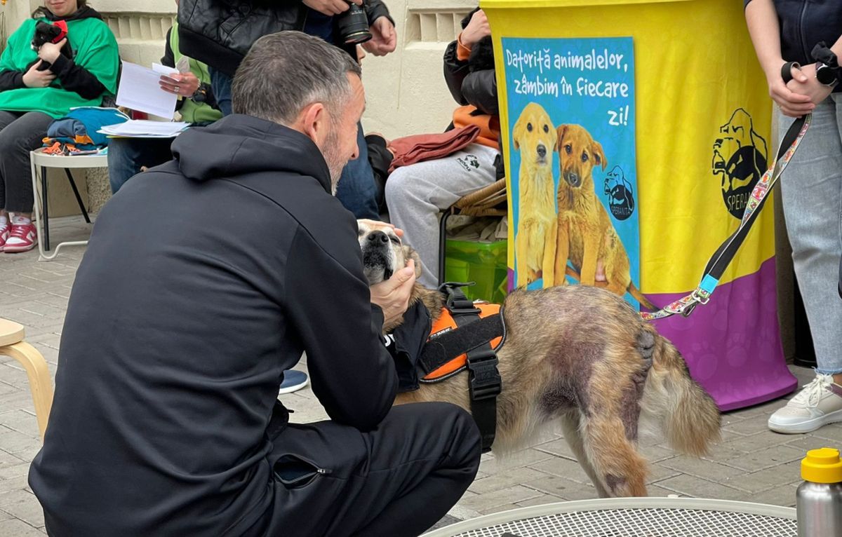 Cum l-a dat pe spate Elias Charalambous pe MM Stoica: „Ieri se uita la meci și a observat ceva. E peste așteptări!”