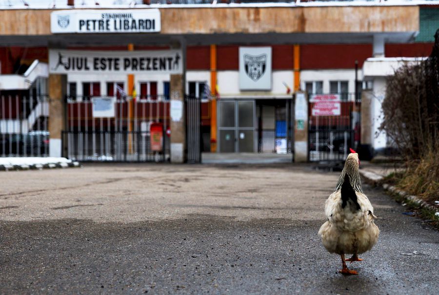 Sub stăpânirea lui Ridzi: Jiul Petroșani, „vaca de muls”, între blaturi la pariuri și control politic total! „Semnați pentru 7.000 de lei, dar luați și voi câte 2.500!”