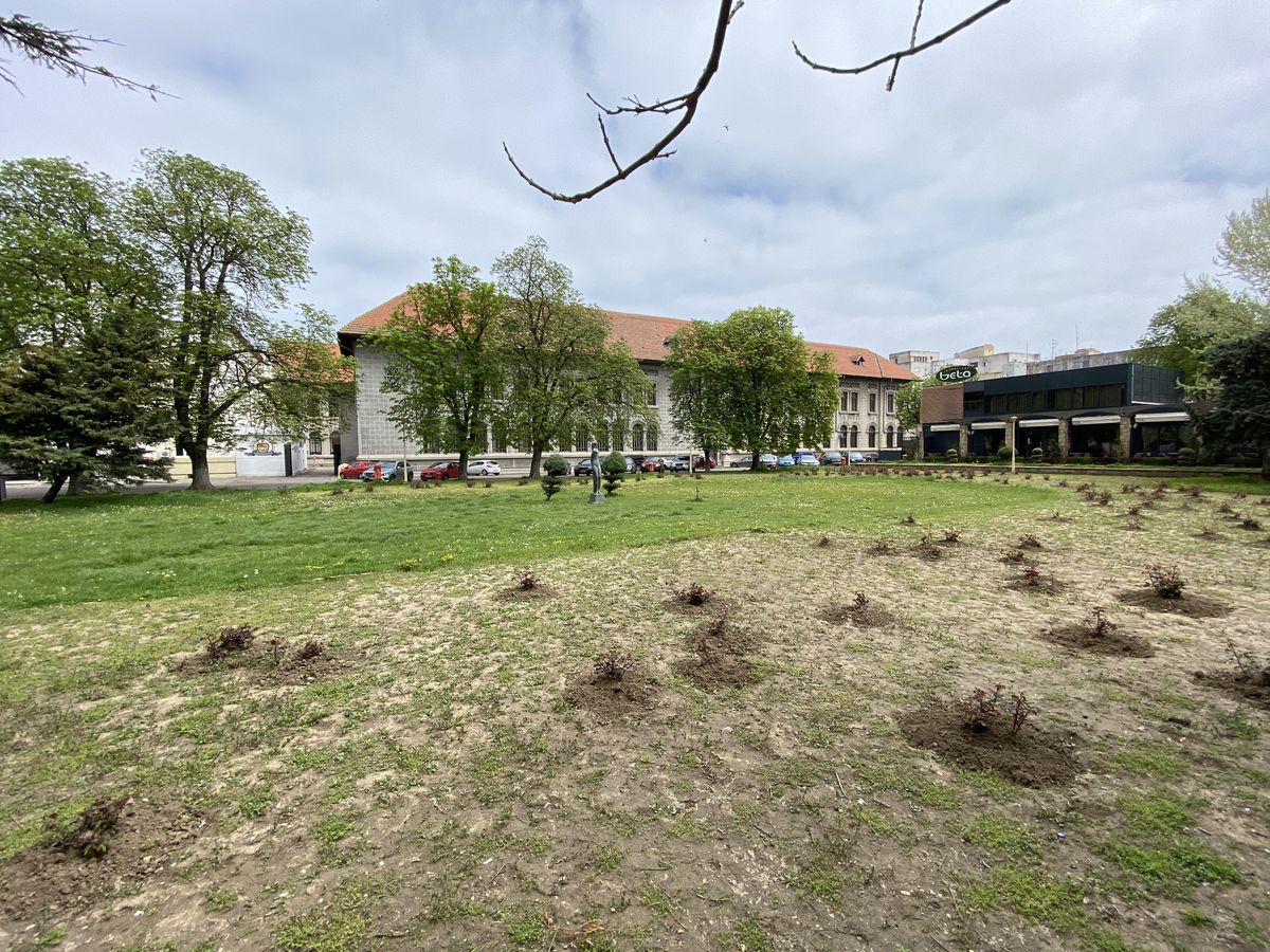 Fostul stadion „8 mai” din Constanța - Depozit de cherestea în 2021