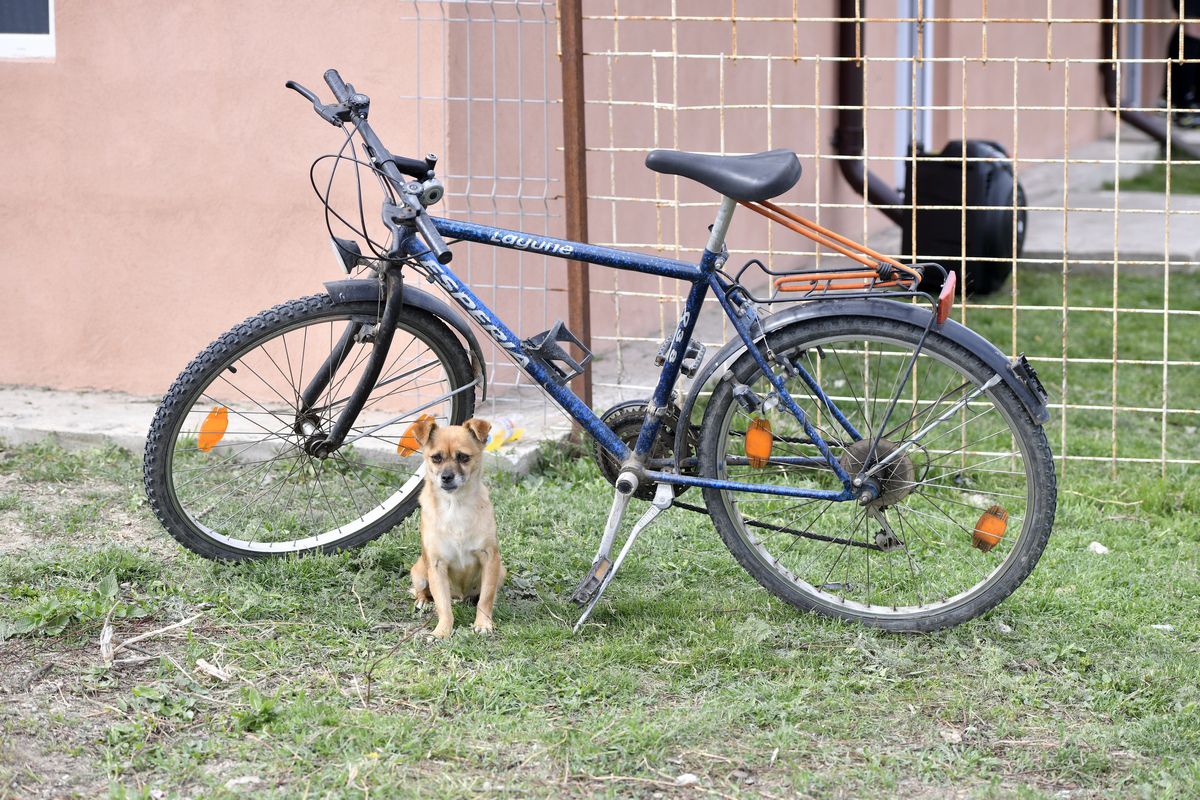 Derby la Liga 4 între Iazu și Scânteia » Căruțe pe post de peluză, prima se dă în bere și mici, echipamente cumpărate de Bobonete: „E Dinamo-Steaua din Ialomița”